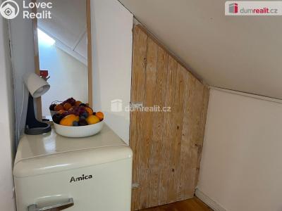 Продаж сімейного будинку Brumovice, Hlavní č. 16