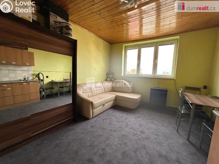 Pronájem bytu 1+KK Cerhenice, Na palouku č. 3