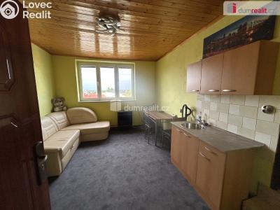 Pronájem bytu 1+KK Cerhenice, Na palouku č. 2