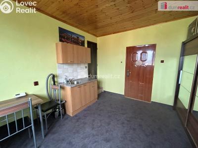 Pronájem bytu 1+KK Cerhenice, Na palouku č. 4