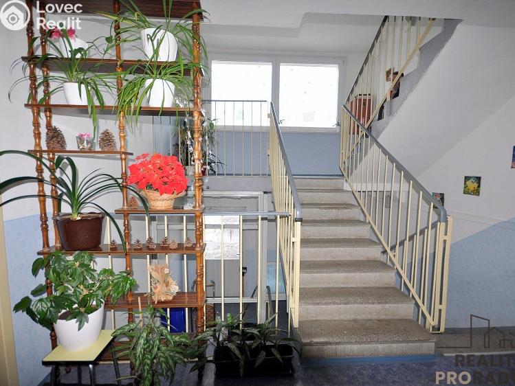 Sale apartment 2+1 Zábřeh, Žerotínov č. 15