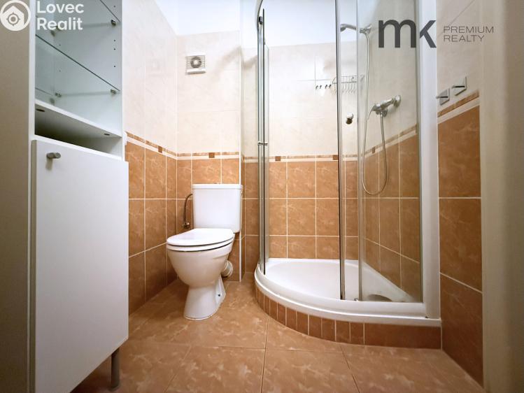 Rent apartment 1+1 Praha, Kouřimská č. 7