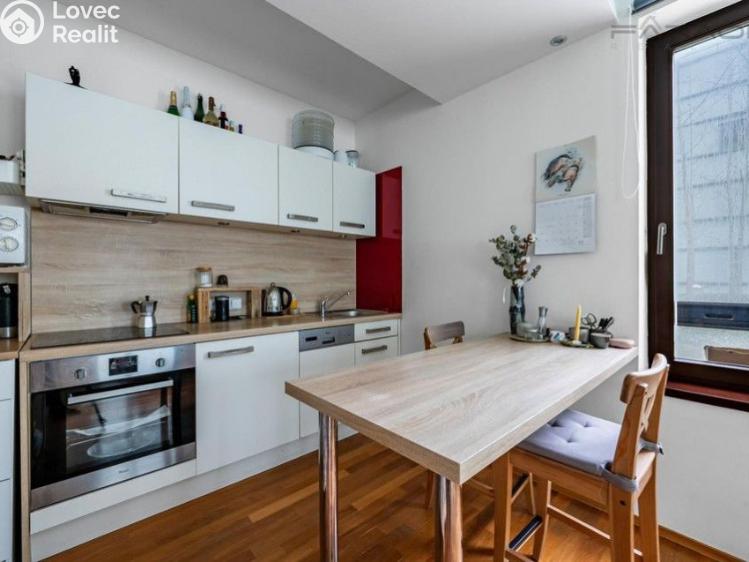 Rent apartment 1+KK Praha, Šaldova č. 5