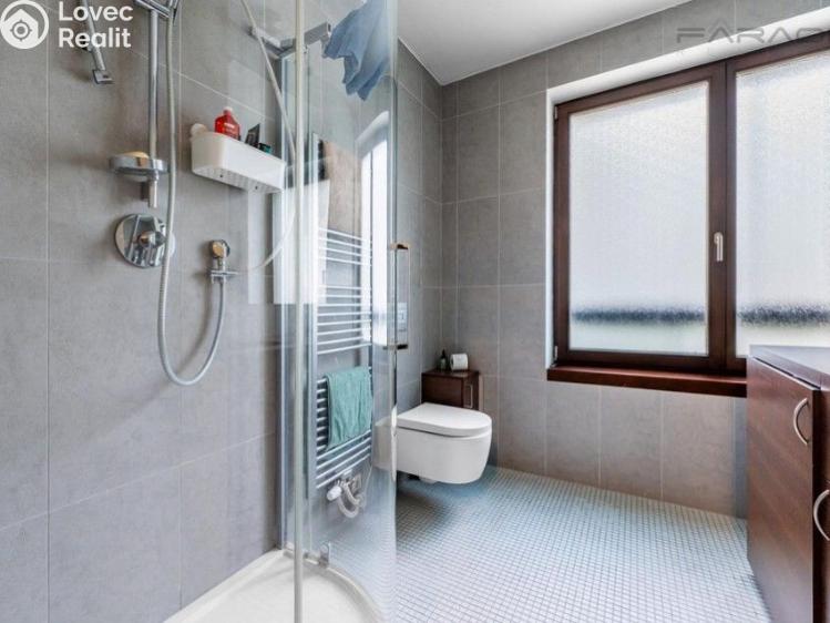 Rent apartment 1+KK Praha, Šaldova č. 6