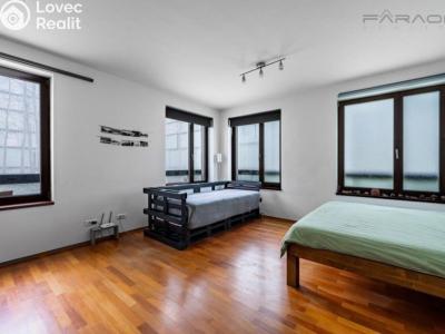 Rent apartment 1+KK Praha, Šaldova č. 1