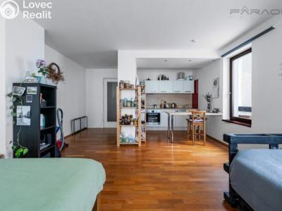 Rent apartment 1+KK Praha, Šaldova č. 2