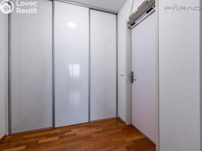 Rent apartment 1+KK Praha, Šaldova č. 3