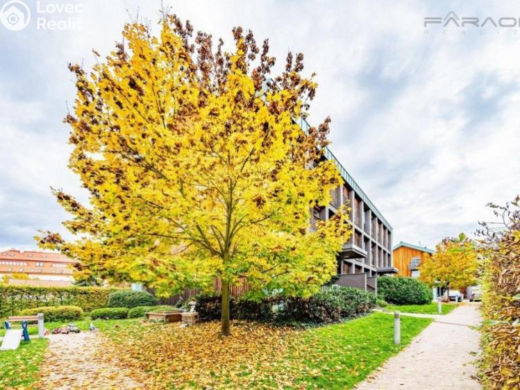 Pronájem bytu 2+KK Dobříš č. 13