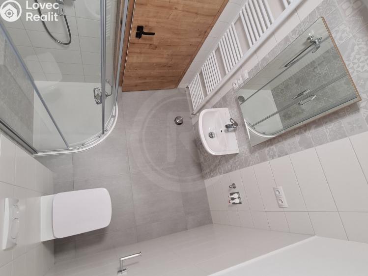 Rent apartment 1+KK Srubec, Do Mladého 1300 č. 4