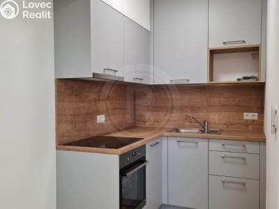 Оренда квартири 1+KK Srubec, Do Mladého 1300 č. 2