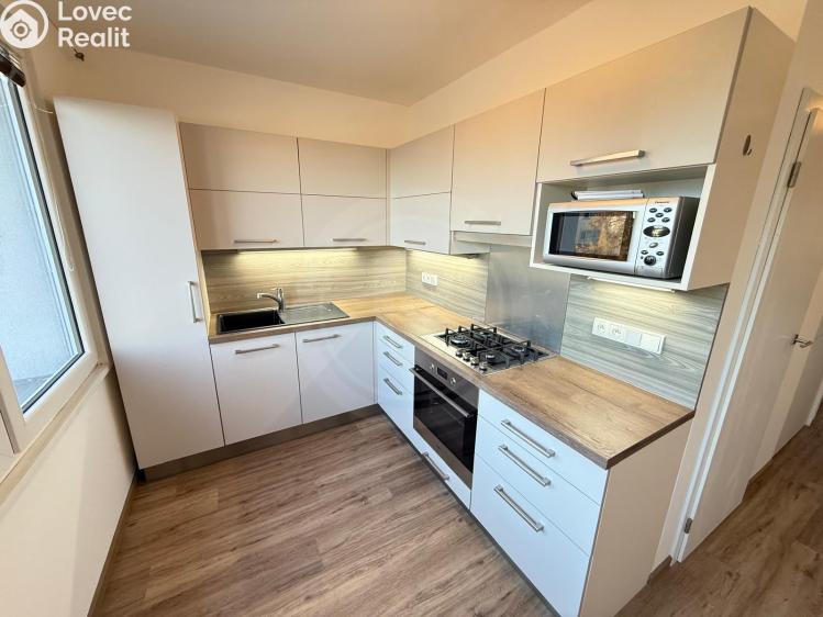 Pronájem bytu 2+1 České Budějovice, Plzeňská 2139/8 č. 1