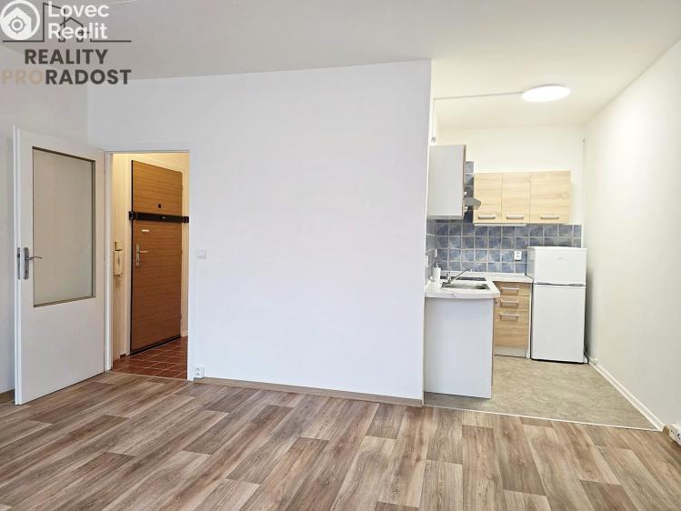 Rent apartment 1+KK Brno, U hřiště 229/9 č. 9