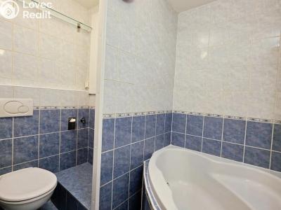 Оренда квартири 1+KK Brno, U hřiště č. 5