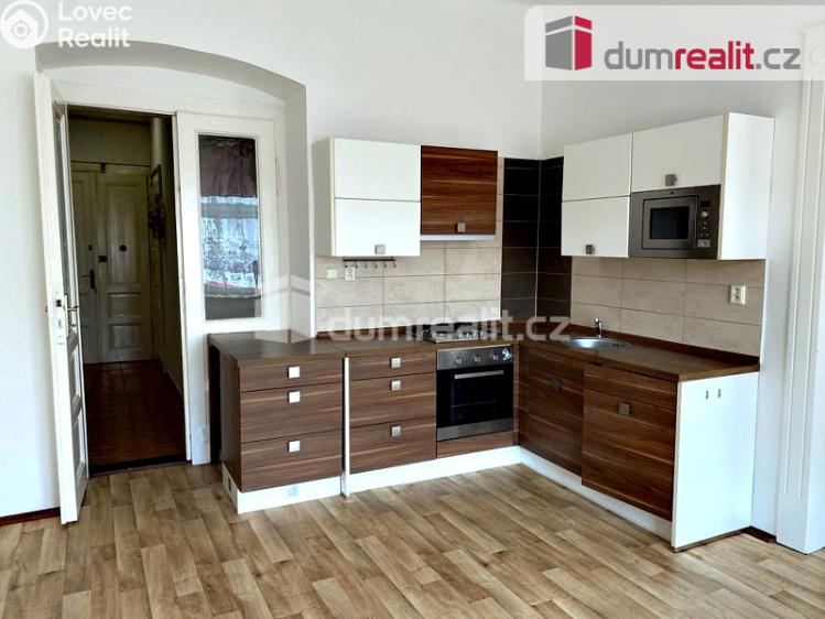 Pronájem bytu 2+1 Plzeň, Hálkova č. 1