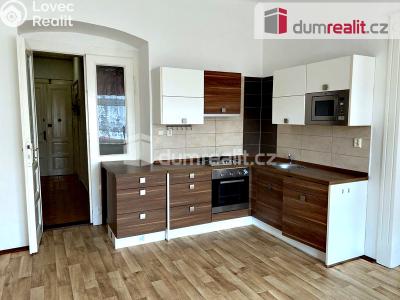 Pronájem bytu 2+1 Plzeň, Hálkova č. 1