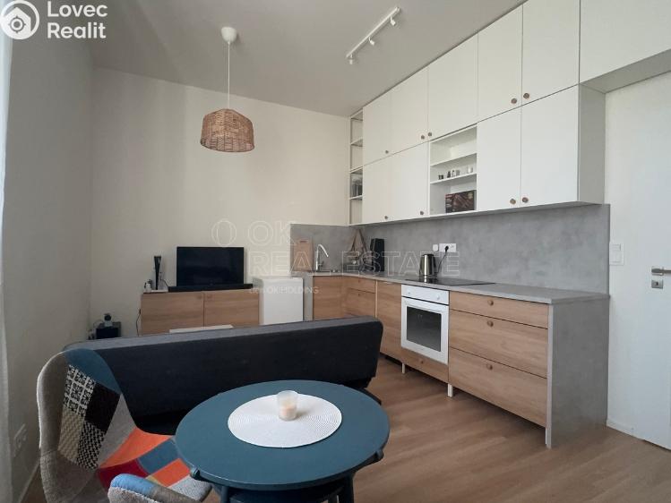 Pronájem bytu 1+KK Ostrava, 28. října 1753/80 č. 4