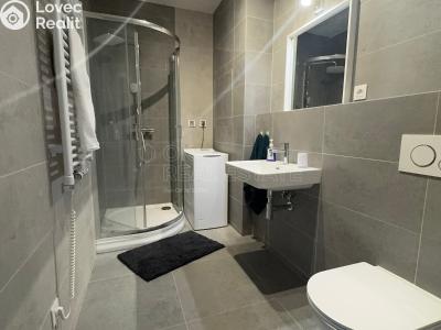 Pronájem bytu 1+KK Ostrava, 28. října č. 5