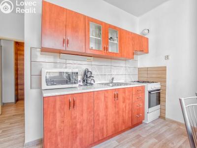 Pronájem bytu 2+1 Kopřivnice č. 3