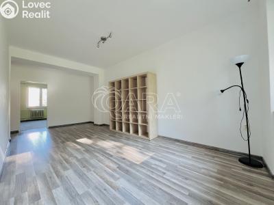 Pronájem bytu 2+1 Kopřivnice č. 4