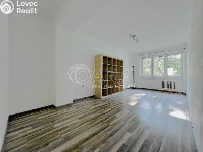 Pronájem bytu 2+1 Kopřivnice č. 5