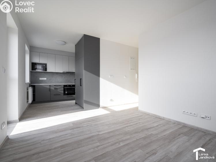 Оренда квартири 2+KK Dašice, U Kasáren č. 8