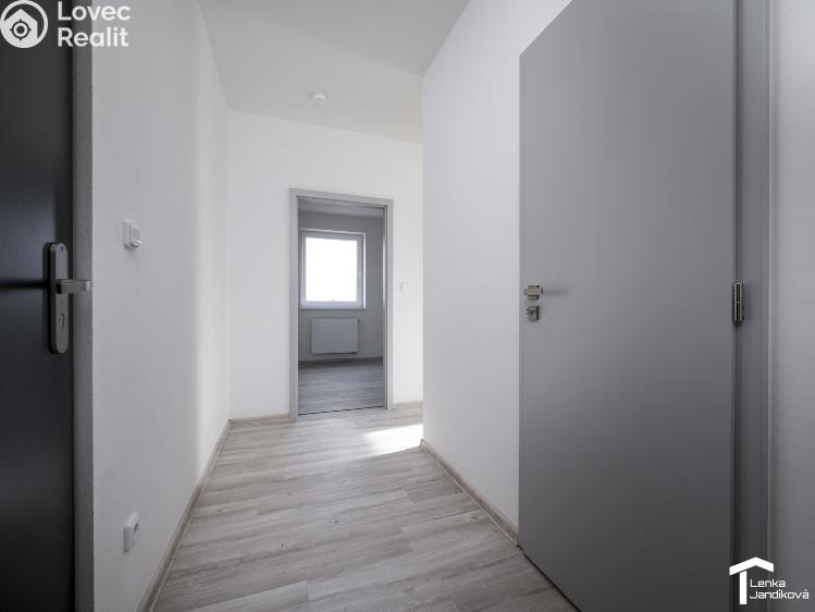 Оренда квартири 2+KK Dašice, U Kasáren č. 9