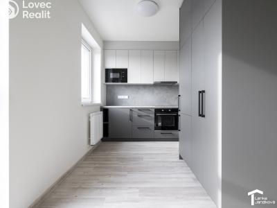 Оренда квартири 2+KK Dašice, U Kasáren č. 3