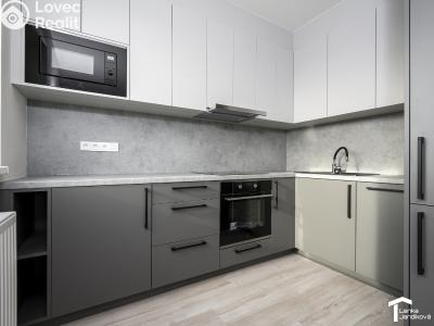 Оренда квартири 2+KK Dašice, U Kasáren č. 4