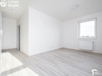 Оренда квартири 2+KK Dašice, U Kasáren č. 5