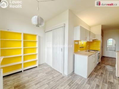 Pronájem bytu 2+1 Ústí nad Labem, Větrná č. 1