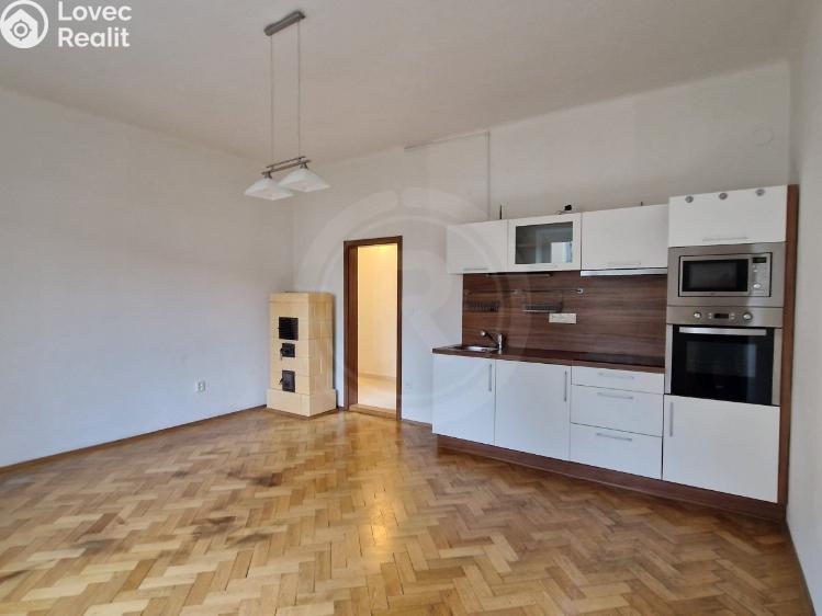 Pronájem bytu 2+1 České Budějovice, Čechova 519/30 č. 1