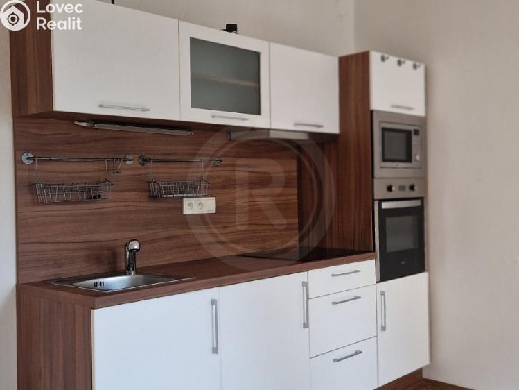 Pronájem bytu 2+1 České Budějovice, Čechova 519/30 č. 4