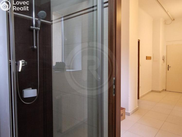 Pronájem bytu 2+1 České Budějovice, Čechova 519/30 č. 7