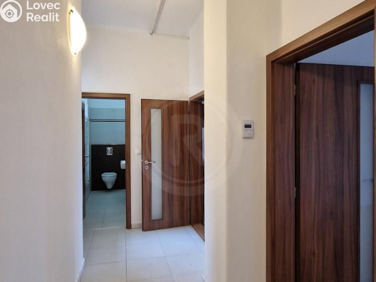 Pronájem bytu 2+1 České Budějovice, Čechova 519/30 č. 10