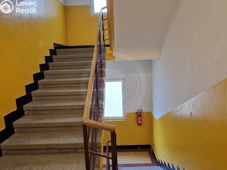 Pronájem bytu 2+1 České Budějovice, Čechova 519/30 č. 12