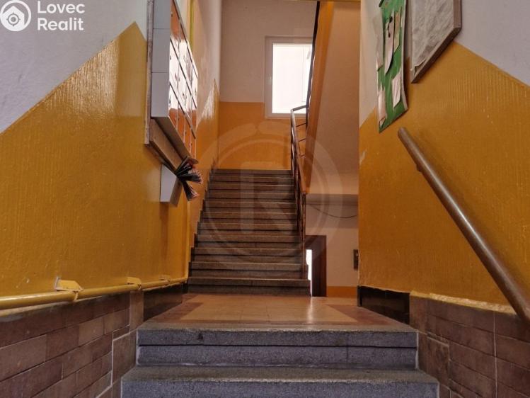 Pronájem bytu 2+1 České Budějovice, Čechova 519/30 č. 13