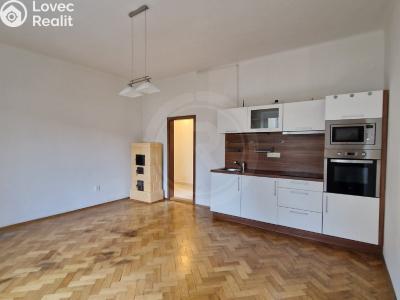 Pronájem bytu 2+1 České Budějovice, Čechova č. 1