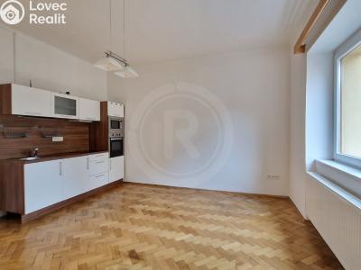 Pronájem bytu 2+1 České Budějovice, Čechova č. 2