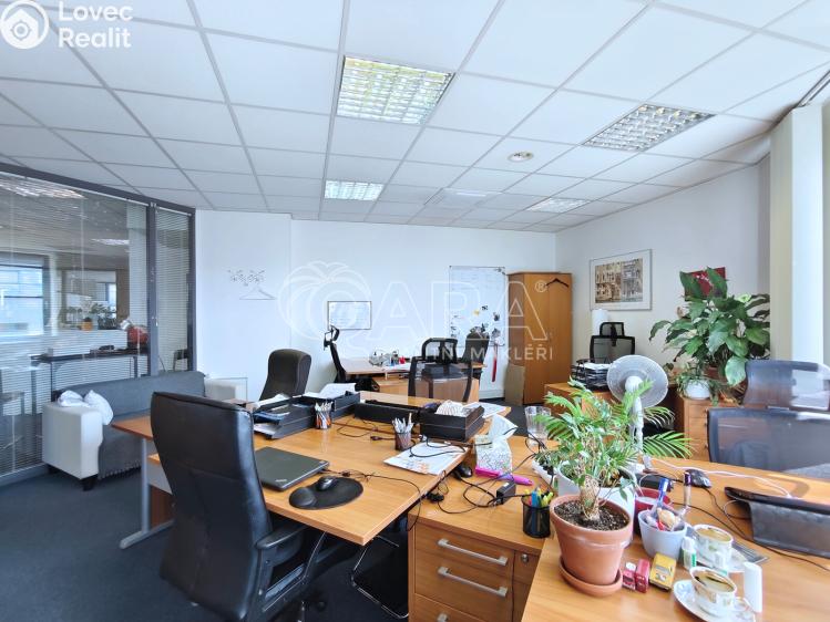 Оренда офісного приміщення Praha, Hvězdova 1073/33 č. 10