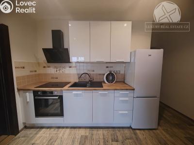 Оренда квартири 1+KK Praha, Podolská č. 5