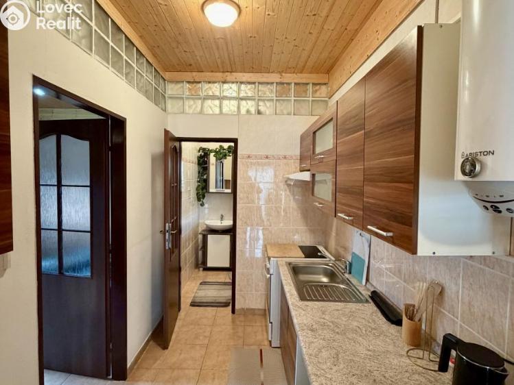 Аренда хижины Stříbro č. 11