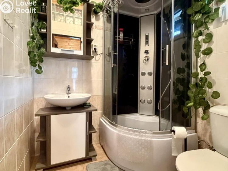 Аренда хижины Stříbro č. 12