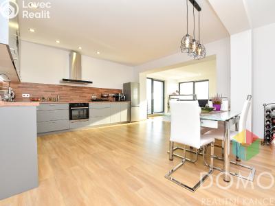 Pronájem bytu 3+KK Beroun, Na Vinici č. 2