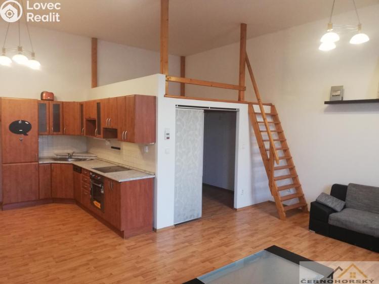 Pronájem bytu 1+KK Rakovník č. 3