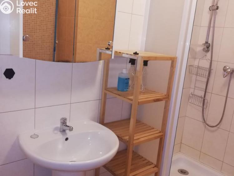 Pronájem bytu 1+KK Rakovník č. 8