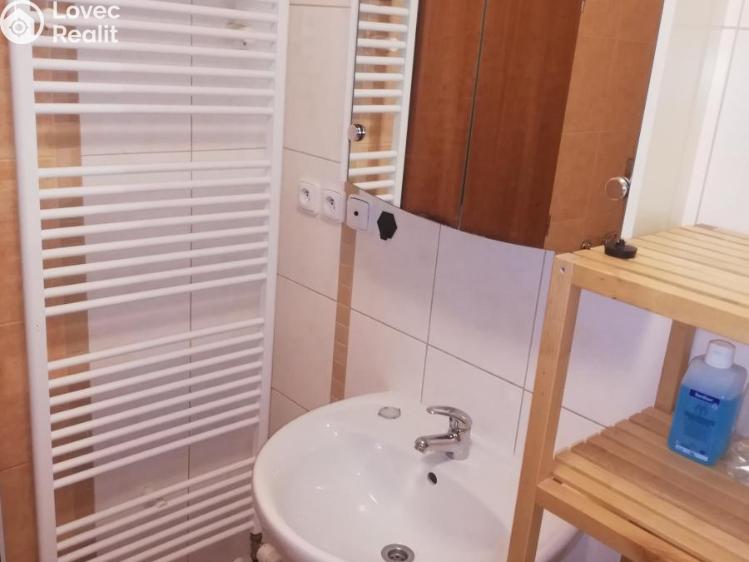 Pronájem bytu 1+KK Rakovník č. 11