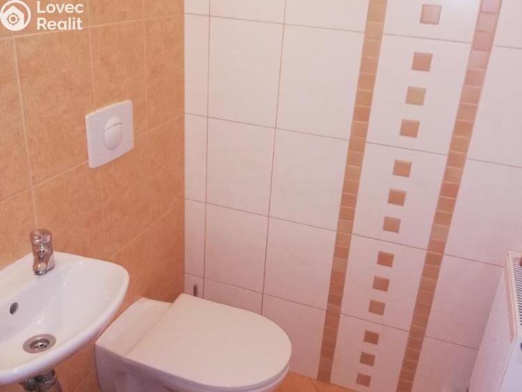 Pronájem bytu 1+KK Rakovník č. 12