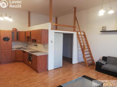 Pronájem bytu 1+KK Rakovník č. 3