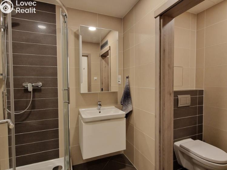 Pronájem bytu 1+KK Praha, Petrohradská č. 5