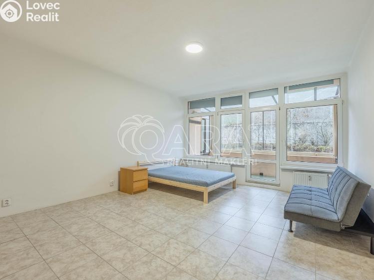 Rent apartment 1+KK Praha, Spojařů 1254 č. 1